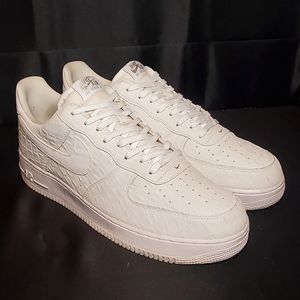 Crocodile Air Force 1's